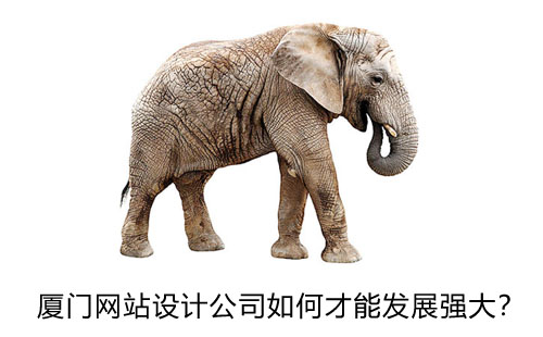 厦门网站设计公司如何才能发展壮大？厦门高端网站建设——“川成设计”