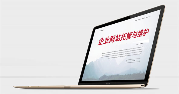 厦门企业网站托管与维护