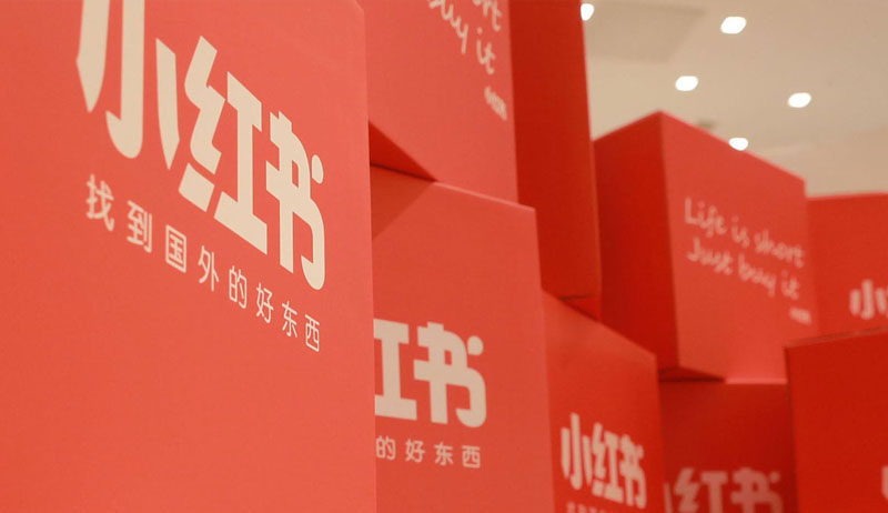 厦门魔法森林直播网站建设